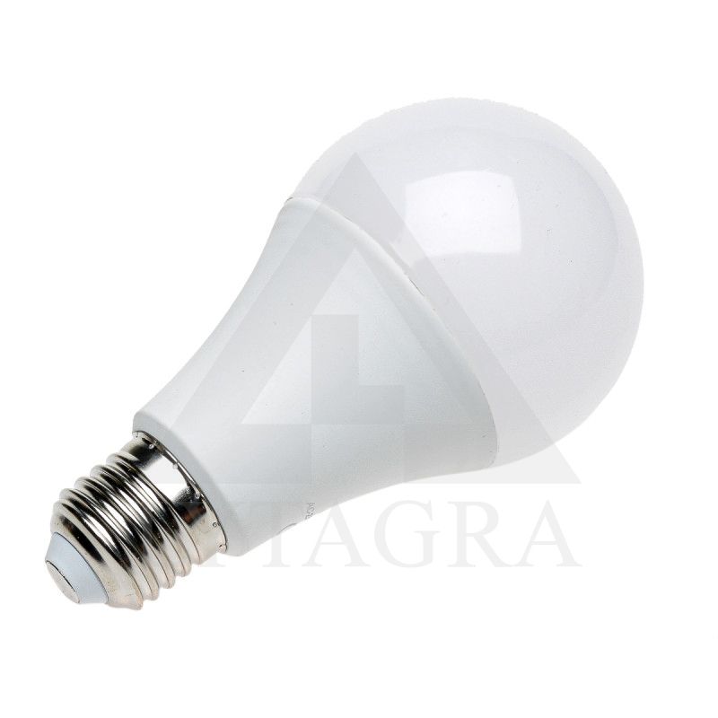 LED lemputė Realtek RT18145/A70 18W 1450Lm 220V