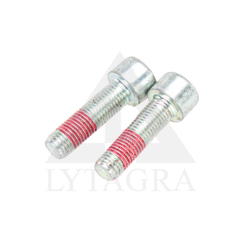 47134668 VARŽTASM10x1,25x35mm
