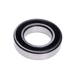 Guolis 6007 2RS