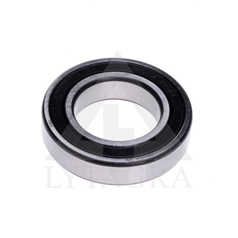 Guolis 6007 2RS