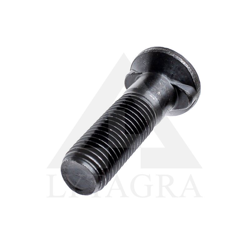M20x75 Varžtas Overum