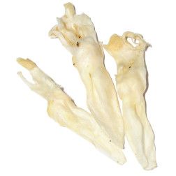 Nature living skanėstas šunims džiovintos triušių ausys