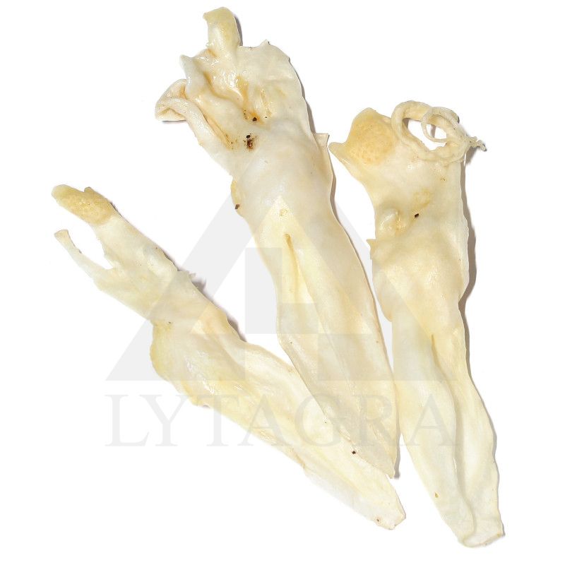 Nature living skanėstas šunims džiovintos triušių ausys