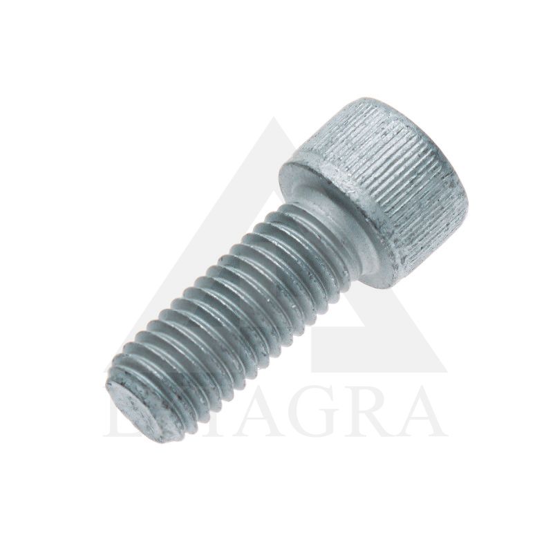 00370297 VARŽTAS M12x30