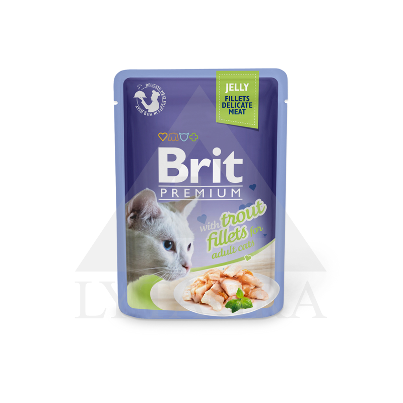 85 G KONSERVAI KATĖMS CAT DELICATE UPĖTAKIS PAD.