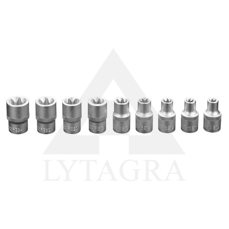 Antgaliai Torx E10 - E24, komplekte 9 vnt