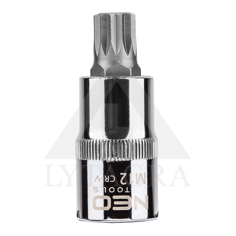 Antgalis 12- pis 1/2"", M12 x 55 mm