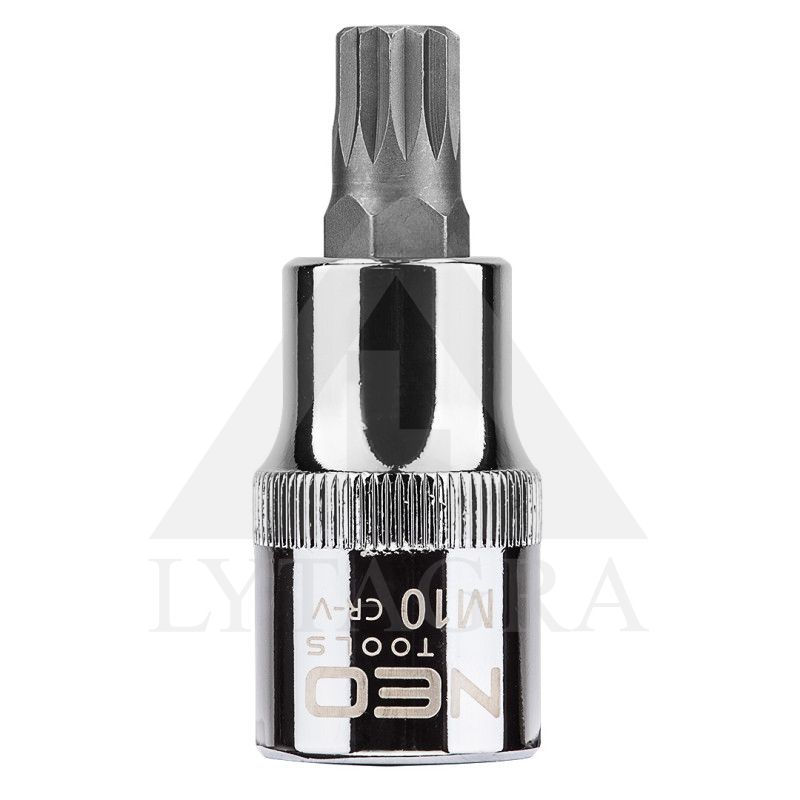 Antgalis Spline M10