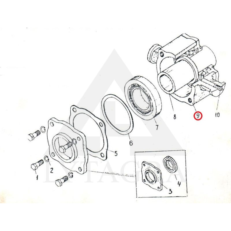 Guoliavietė BDT BDJU 01.304