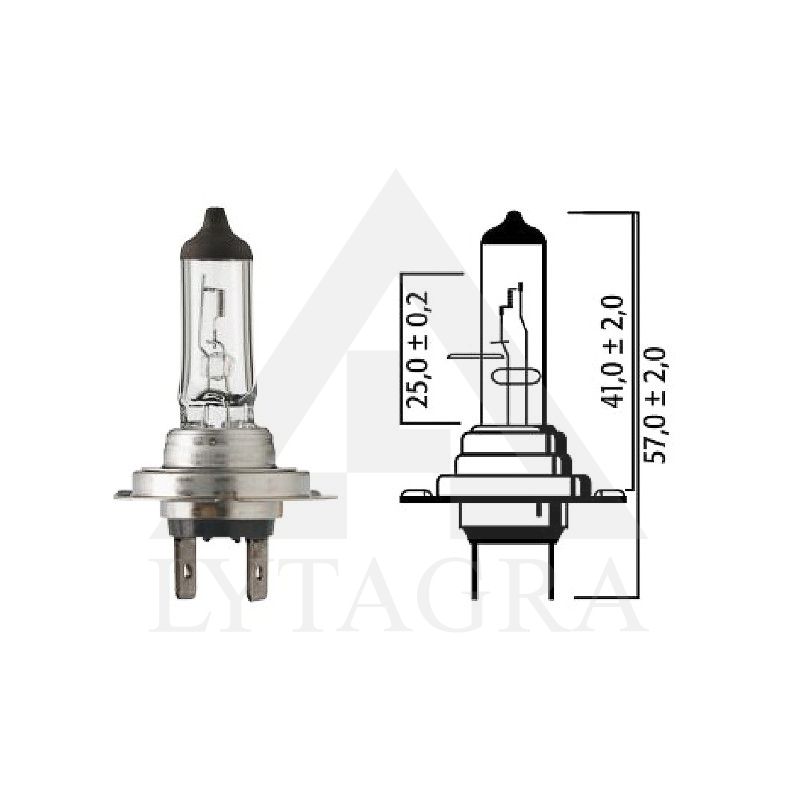 Halogeninė lemputė