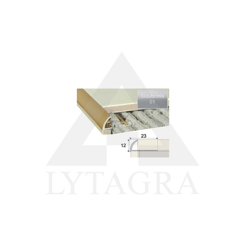 Profilis Effector A53 užbaigimo A53 sidabrinis 250 cm 23x12 mm