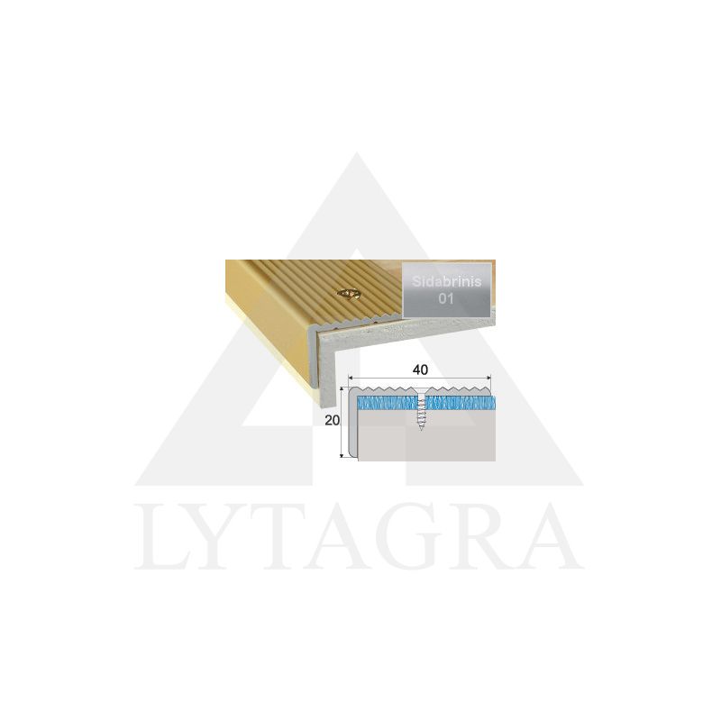 Profilis Effector A33 laiptams sidabrinis 90 cm 40x20 mm
