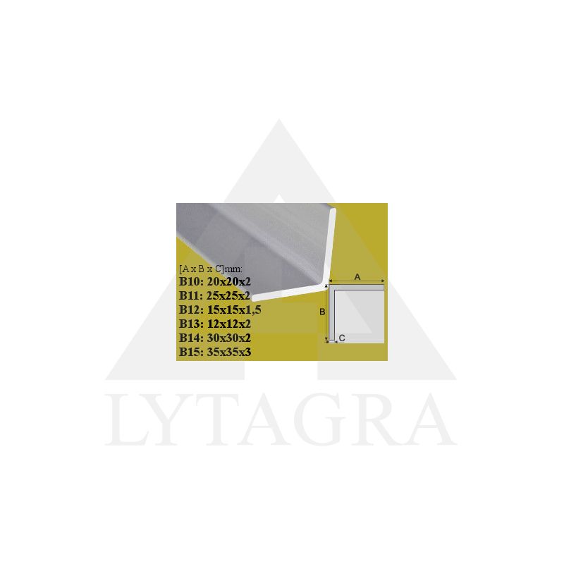 Profilis Effector, kampinis B10 aliuminis 20x20 mm 200 cm