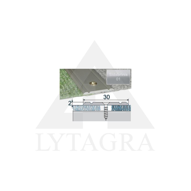 Profilis Effector A02 sujungimo sidabrinis 180 cm 30x2 mm