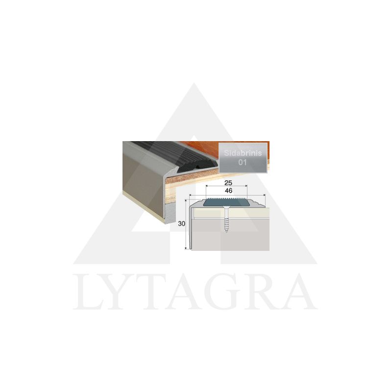 Profilis Effector A38 laiptams, su juoda guma sidabrinis 180 cm 50x30 mm