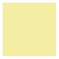 47861001 Emaliniai dažai Color Enamel 0,65L