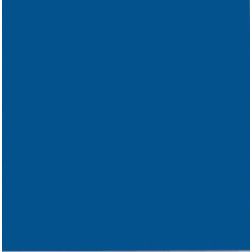 47861201 Emaliniai dažai Color Enamel 0,65L