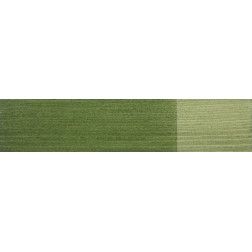 37019 Dažyvė medienai Belinka Toplasur UV Plus 19 0,75L