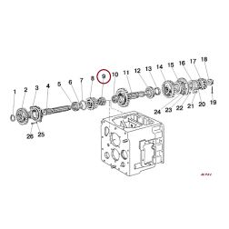 50-1701045 DANTRATIS