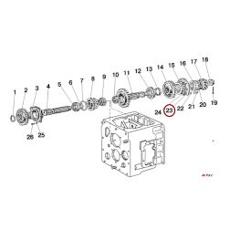 50-1701259 TARPINE(20) 0.5MM
