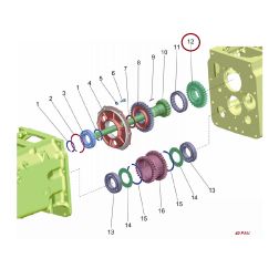 70-1721025 DANTRATIS