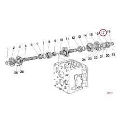 50-1701105 DANTRATIS