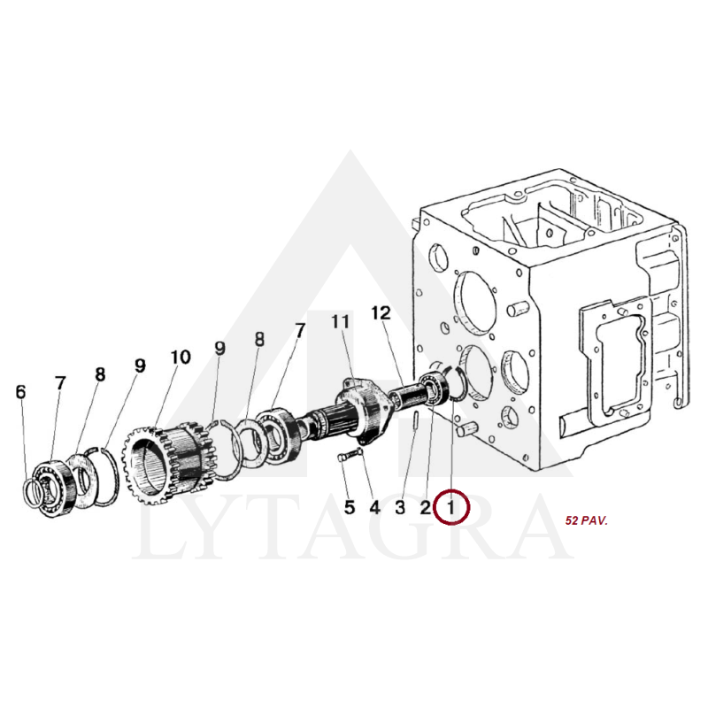 2V-80 ZIEDAS