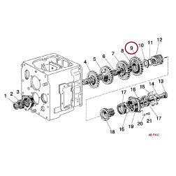 50-1701056 DANTR.