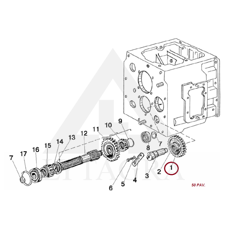 70-1701082 DANTR.