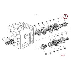 50-1701196 DANTRATIS
