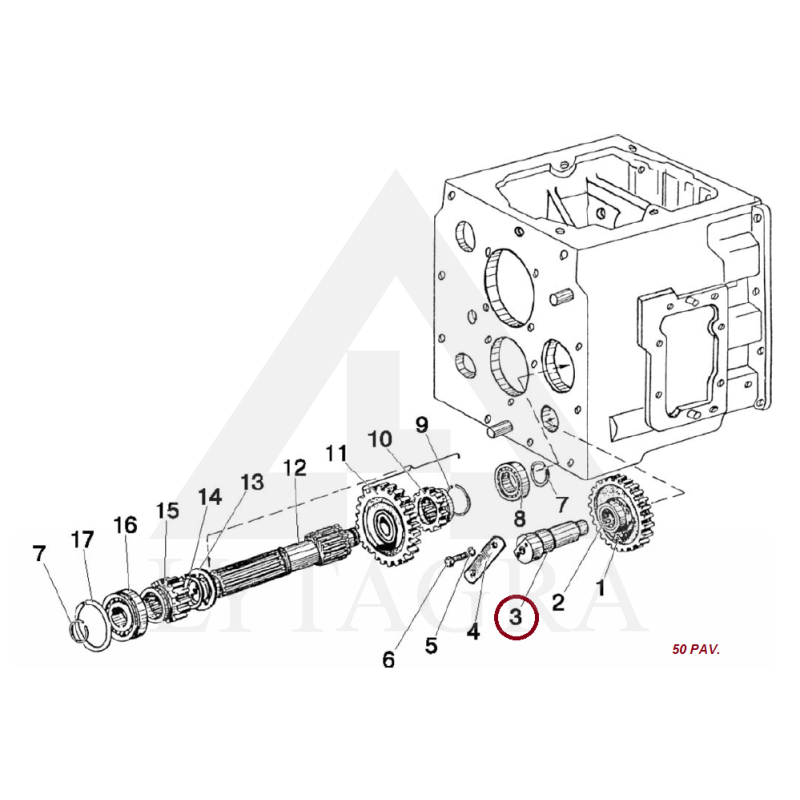 50-1701434 ASIS