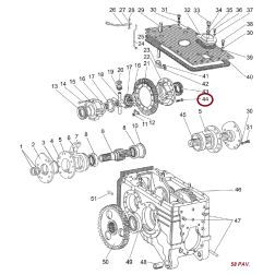 50-1702092 SRAIGTAS