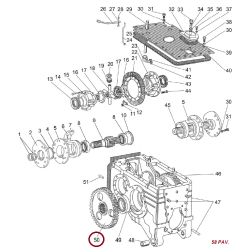 Dantratis 50-2407122