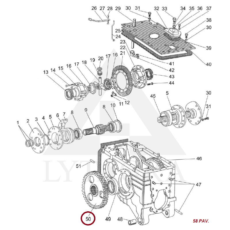 Dantratis 50-2407122