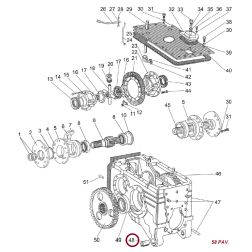 50-2401032 IVORE