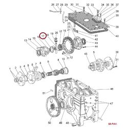 50-2403048 DANTRATIS