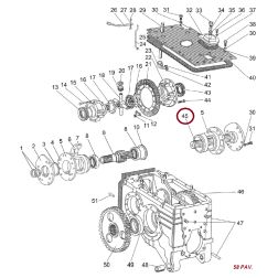 70-2407053-01 DANTRATIS TR.SUSKYLE