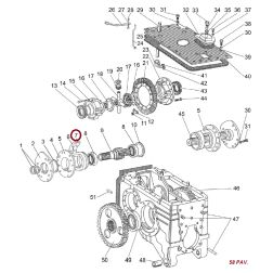 50-2407056 TARPINE