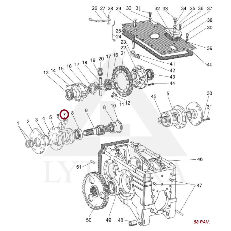 50-2407056 TARPINE