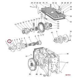 85-2407059 DANGTIS