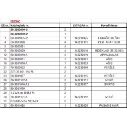 70-3001101  IVORE