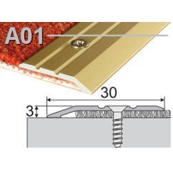 PROF. SU NUOL. AUKSINIS 90CM 30X3 A01-00-090 PROF. SU NUOL. AUKSINIS 90CM 30X3 A01-00-090