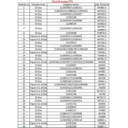 667457   (HJ-2460)   DIRŽAS