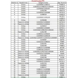 Diržas GATES 1453293 (HQ-74-2611 LA)