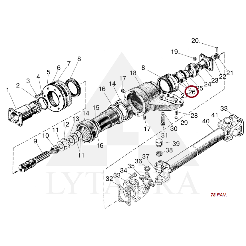 72-2209021 SPYRUOKLE [6]