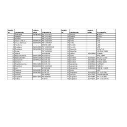 Žvaigždutė PRT-10 PRT 10.02.627