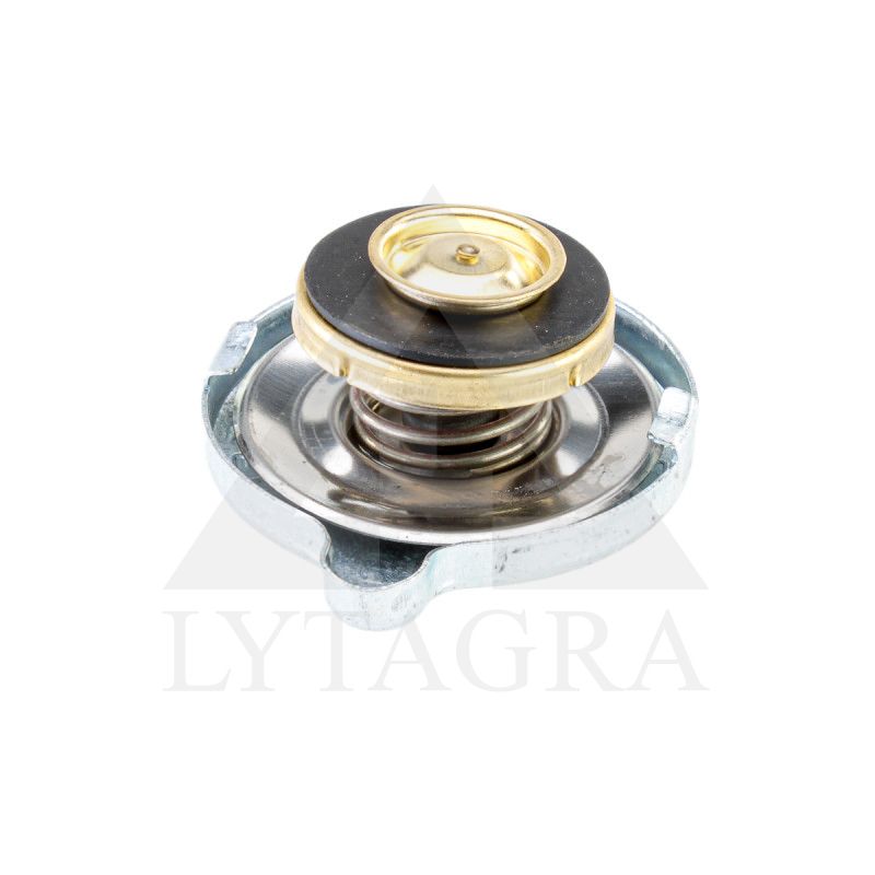 Radiatoriaus dangtelis 24/151-6 (25/151-13)