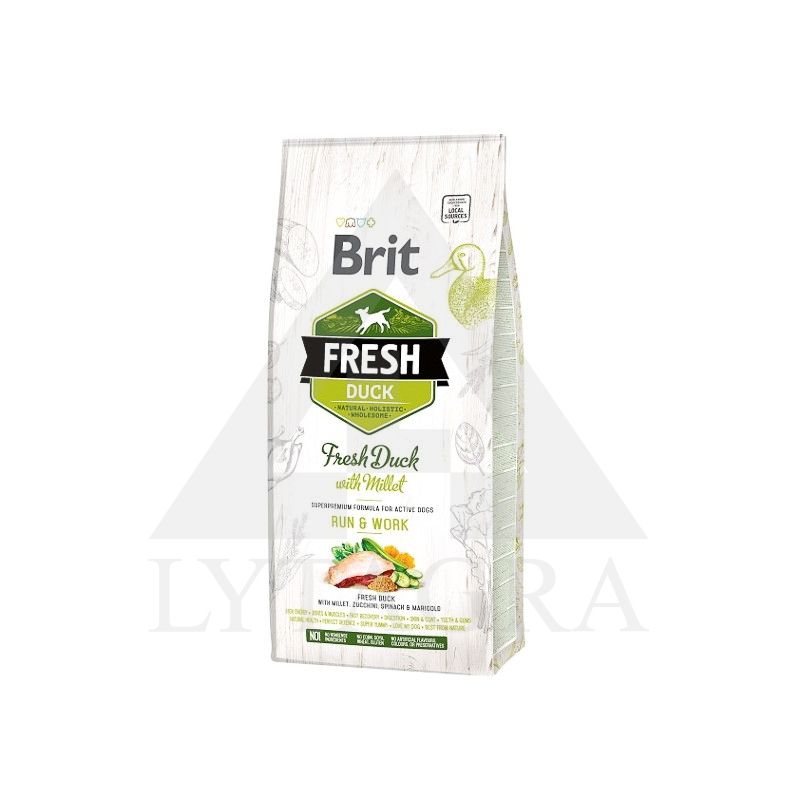 12 KG ŠUNŲ MAISTAS BRIT FR. ANT/SORA AKTYVIEMS S.M