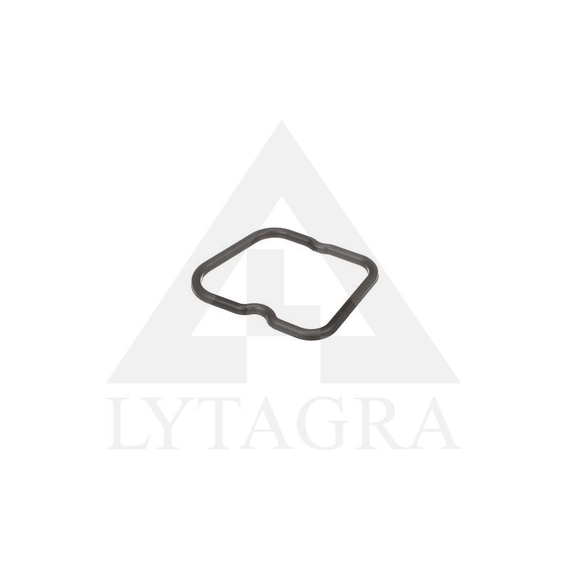 504053522 TARPIKLIS