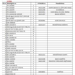 Dešinys kuro bakas 70-1101010